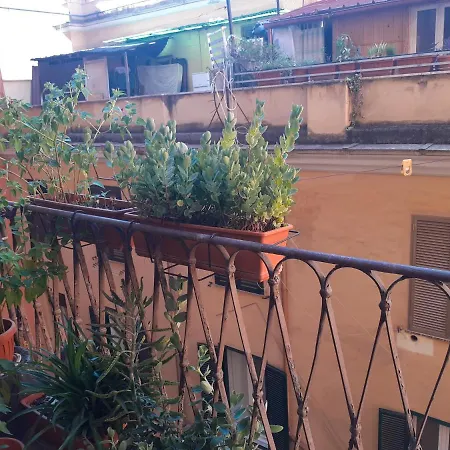 Napoleone Luxury Pensión 3*