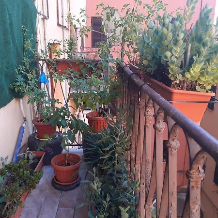 Napoleone Luxury Casa de hóspedes 3*