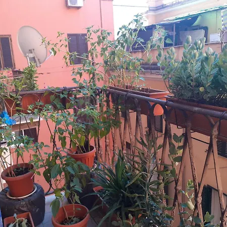 Casa de hóspedes Napoleone Luxury