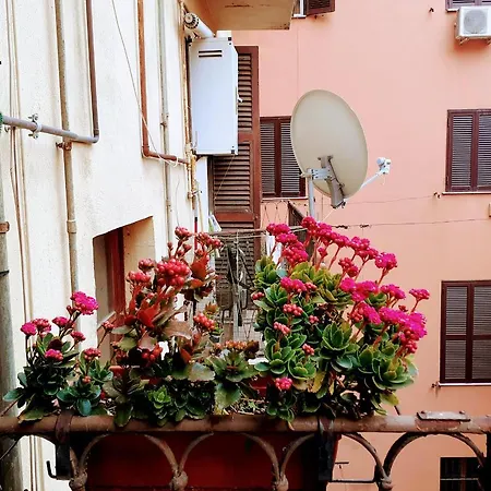 Napoleone Luxury Casa de hóspedes