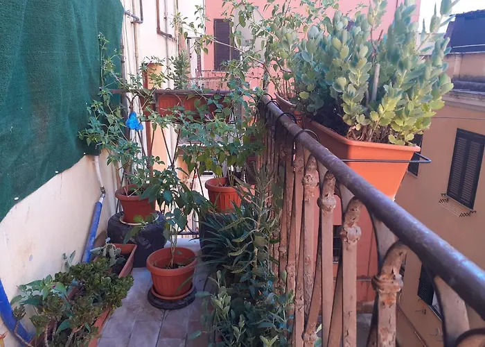 Napoleone Luxury Pensión 3*