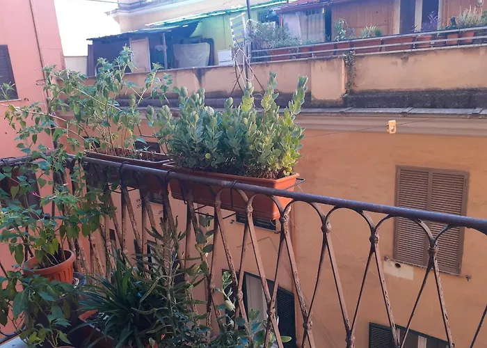 Napoleone Luxury Pensión 3*